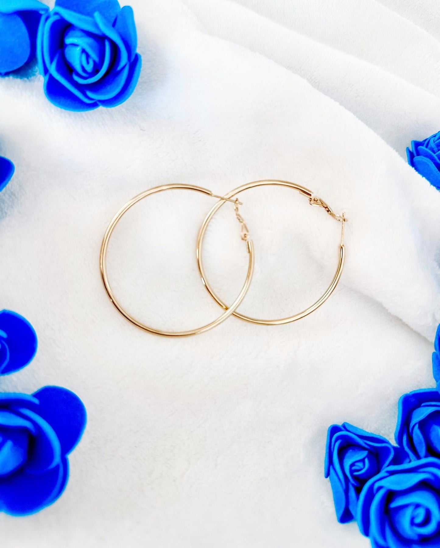 House Hoops (Gold)